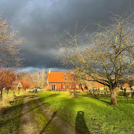 Liljas Haus Im Spreewald Appartement Burg  Buitenkant foto