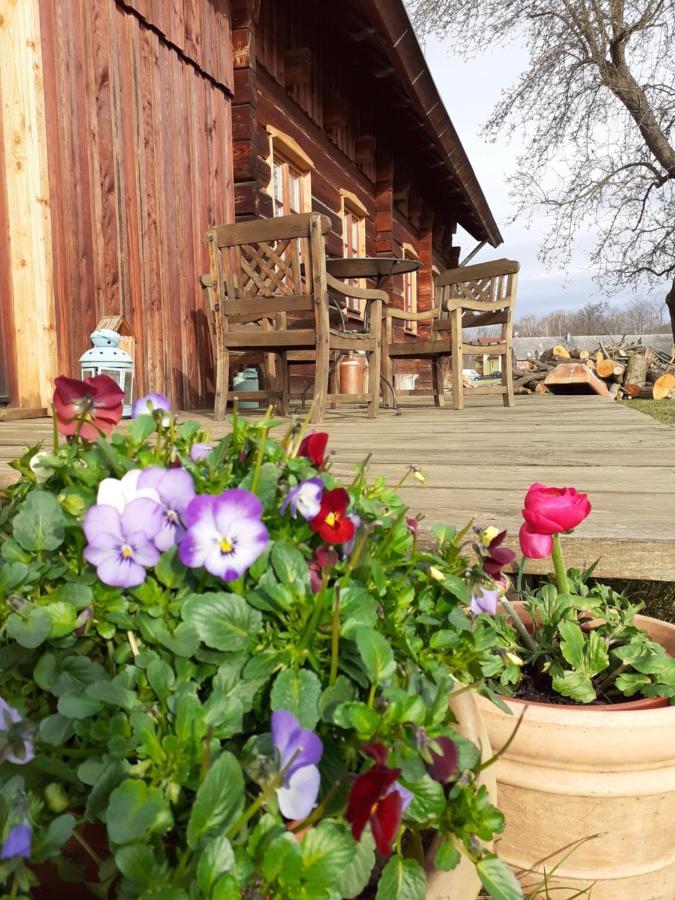 Liljas Haus Im Spreewald Appartement Burg  Buitenkant foto