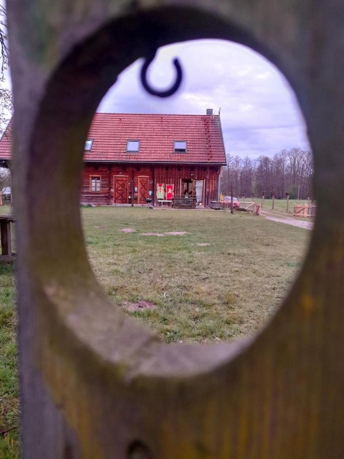 Liljas Haus Im Spreewald Appartement Burg  Buitenkant foto