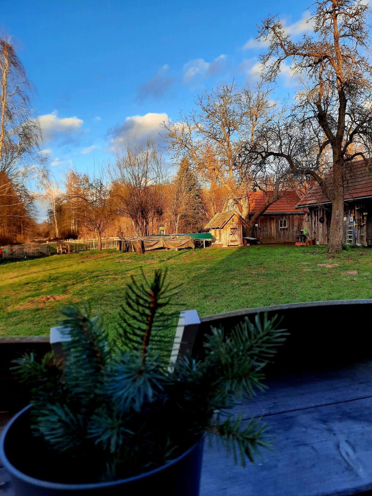 Liljas Haus Im Spreewald Appartement Burg  Buitenkant foto