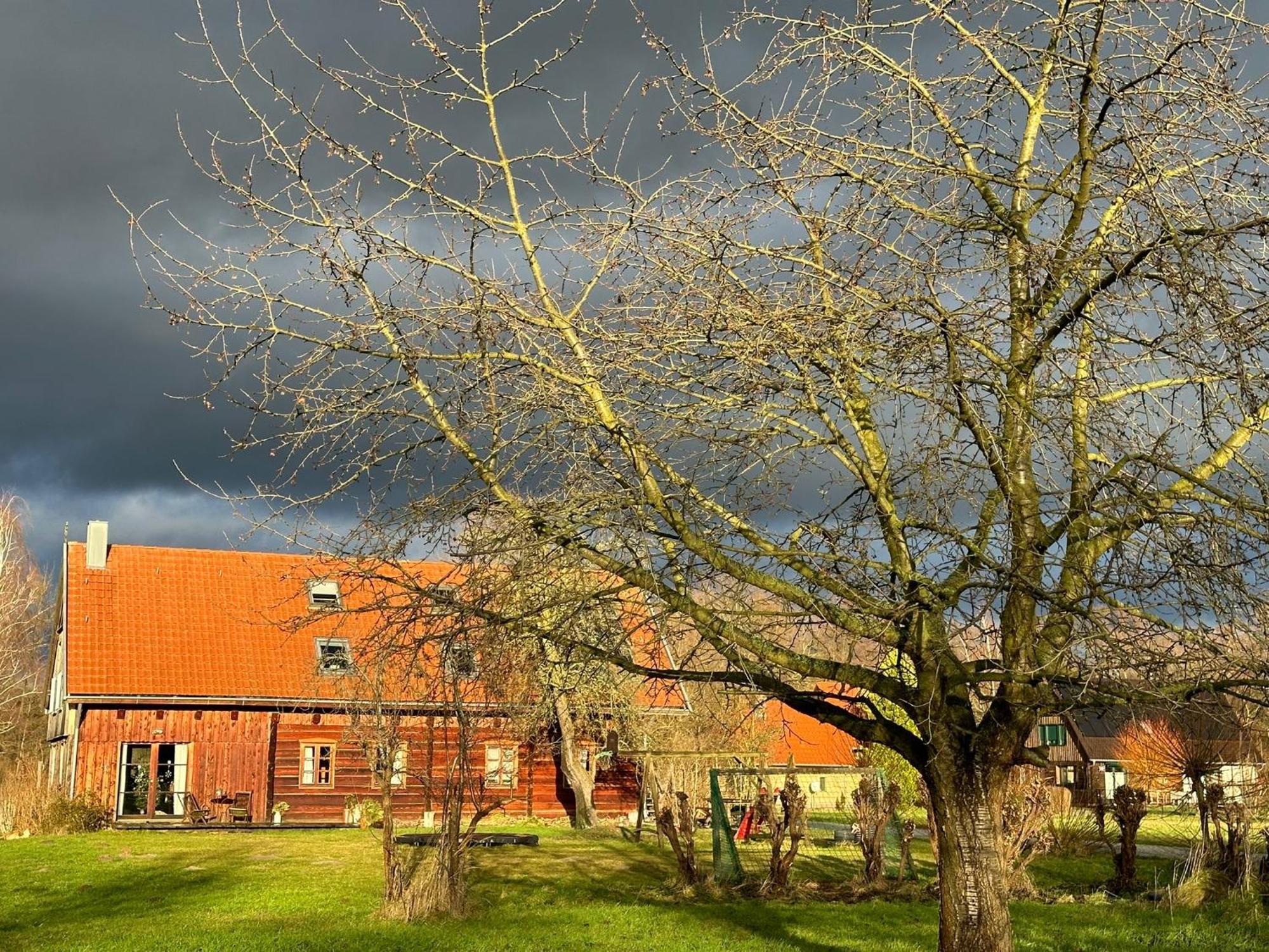 Liljas Haus Im Spreewald Appartement Burg  Buitenkant foto