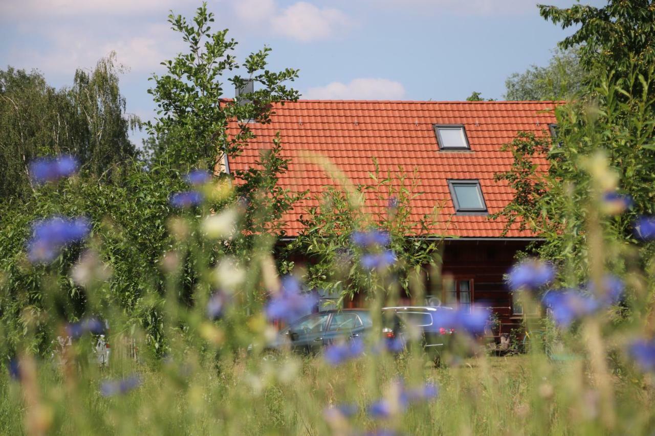 Liljas Haus Im Spreewald Appartement Burg  Buitenkant foto